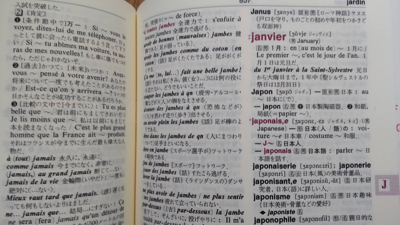 ディコ仏和辞典